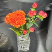 ヒメ日記 2025/05/29 18:01 投稿 神里まこと ABC 岩手ソープ