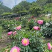 ヒメ日記 2025/06/11 03:01 投稿 神里まこと ABC 岩手ソープ