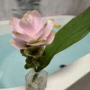 ヒメ日記 2025/07/26 18:46 投稿 神里まこと ABC 岩手ソープ