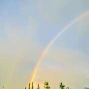 ヒメ日記 2025/08/07 22:01 投稿 神里まこと ABC 岩手ソープ