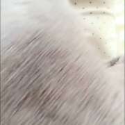 ヒメ日記 2025/09/22 18:16 投稿 神里まこと ABC 岩手ソープ