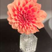 ヒメ日記 2025/10/18 15:01 投稿 神里まこと ABC 岩手ソープ