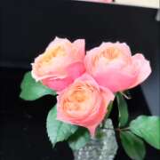 ヒメ日記 2025/11/14 22:46 投稿 神里まこと ABC 岩手ソープ