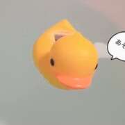 ヒメ日記 2025/11/15 16:46 投稿 神里まこと ABC 岩手ソープ