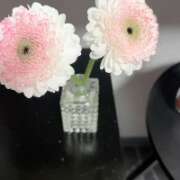 ヒメ日記 2026/01/02 15:01 投稿 神里まこと ABC 岩手ソープ