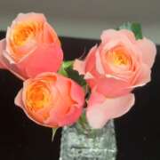 ヒメ日記 2026/02/14 20:16 投稿 神里まこと ABC 岩手ソープ