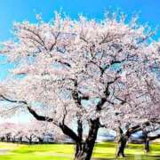 ヒメ日記 2026/04/16 22:16 投稿 神里まこと ABC 岩手ソープ