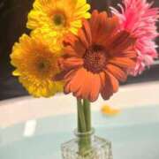 ヒメ日記 2026/04/19 00:31 投稿 神里まこと ABC 岩手ソープ