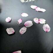 ヒメ日記 2026/04/20 01:01 投稿 神里まこと ABC 岩手ソープ