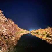 ヒメ日記 2026/04/25 21:46 投稿 神里まこと ABC 岩手ソープ