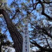 ヒメ日記 2026/06/29 00:16 投稿 神里まこと ABC 岩手ソープ