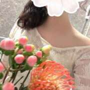 ヒメ日記 2026/10/03 00:16 投稿 神里まこと ABC 岩手ソープ