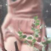 ヒメ日記 2026/10/20 14:16 投稿 神里まこと ABC 岩手ソープ