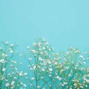 ヒメ日記 2025/01/20 20:34 投稿 にこ 東京人妻セレブリティ（ユメオト）