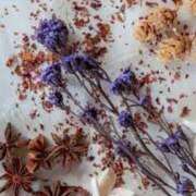 ヒメ日記 2025/02/10 16:03 投稿 にこ 東京人妻セレブリティ（ユメオト）