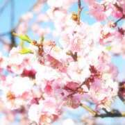 ヒメ日記 2025/03/11 13:18 投稿 にこ 東京人妻セレブリティ（ユメオト）