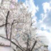 ヒメ日記 2025/04/05 11:40 投稿 にこ 東京人妻セレブリティ（ユメオト）