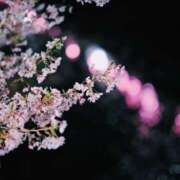 ヒメ日記 2025/04/05 20:08 投稿 にこ 東京人妻セレブリティ（ユメオト）