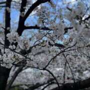 ヒメ日記 2025/04/06 21:10 投稿 にこ 東京人妻セレブリティ（ユメオト）