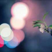 ヒメ日記 2025/05/25 23:30 投稿 にこ 東京人妻セレブリティ（ユメオト）