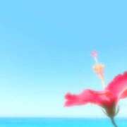 ヒメ日記 2025/05/29 18:39 投稿 にこ 東京人妻セレブリティ（ユメオト）