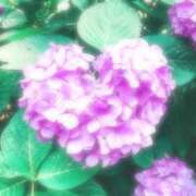 ヒメ日記 2025/06/05 19:02 投稿 にこ 東京人妻セレブリティ（ユメオト）