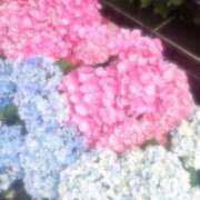 ヒメ日記 2025/06/17 17:13 投稿 にこ 東京人妻セレブリティ（ユメオト）