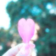 ヒメ日記 2025/06/20 02:43 投稿 にこ 東京人妻セレブリティ（ユメオト）