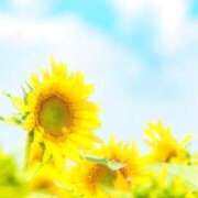 ヒメ日記 2025/07/07 08:01 投稿 にこ 東京人妻セレブリティ（ユメオト）