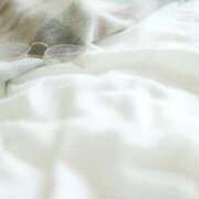 ヒメ日記 2025/07/14 10:58 投稿 にこ 東京人妻セレブリティ（ユメオト）