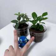 ヒメ日記 2025/10/16 20:10 投稿 ちあ 手こき＆オナクラ 大阪はまちゃん