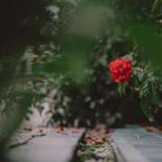 ヒメ日記 2025/01/10 23:00 投稿 花月 ゆめ プルプルオフィスディーバ