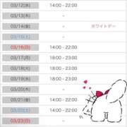 ヒメ日記 2025/03/11 22:34 投稿 福森 BBW横浜店