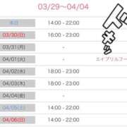 ヒメ日記 2025/03/29 20:41 投稿 福森 BBW横浜店