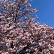 ヒメ日記 2025/05/11 13:39 投稿 福森 BBW横浜店