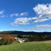 ヒメ日記 2025/05/14 10:40 投稿 福森 BBW横浜店