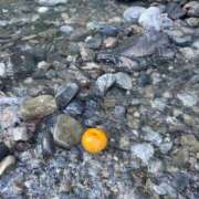 ヒメ日記 2025/07/03 10:38 投稿 福森 BBW横浜店