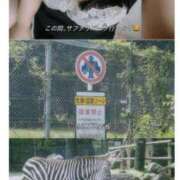 ヒメ日記 2025/07/25 13:24 投稿 福森 BBW横浜店