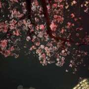 ヒメ日記 2026/03/31 10:57 投稿 福森 BBW横浜店