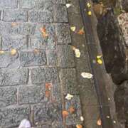 ヒメ日記 2026/04/06 12:12 投稿 福森 BBW横浜店