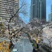 ヒメ日記 2026/04/09 17:09 投稿 福森 BBW横浜店