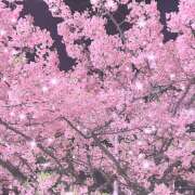 ヒメ日記 2025/03/20 00:06 投稿 西城 HERMINE-エルミネ-