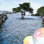 ヒメ日記 2025/04/26 13:57 投稿 西城 HERMINE-エルミネ-