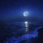 ヒメ日記 2025/04/30 23:23 投稿 西城 HERMINE-エルミネ-