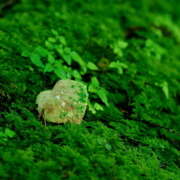 ヒメ日記 2025/05/20 07:14 投稿 西城 HERMINE-エルミネ-