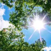 ヒメ日記 2025/07/04 07:54 投稿 西城 HERMINE-エルミネ-