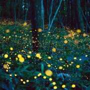 ヒメ日記 2025/07/14 20:18 投稿 西城 HERMINE-エルミネ-