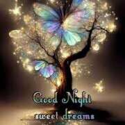 ヒメ日記 2025/07/16 20:25 投稿 西城 HERMINE-エルミネ-