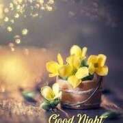 ヒメ日記 2025/07/17 23:58 投稿 西城 HERMINE-エルミネ-