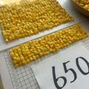 ヒメ日記 2025/08/28 15:48 投稿 西城 HERMINE-エルミネ-